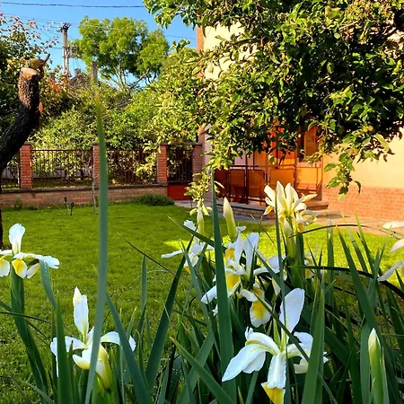 Apartman Júlia Szeged